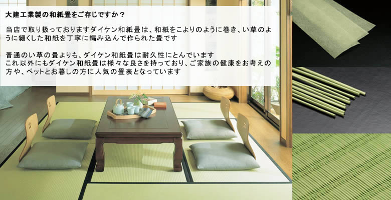 �_�C�P���@�a�����\